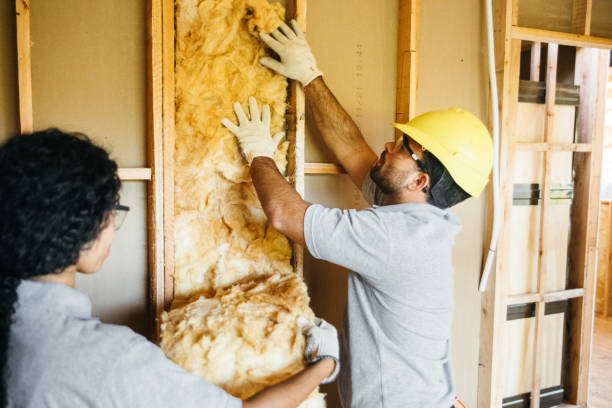Best Spray Foam Insulation  in Troy, TN