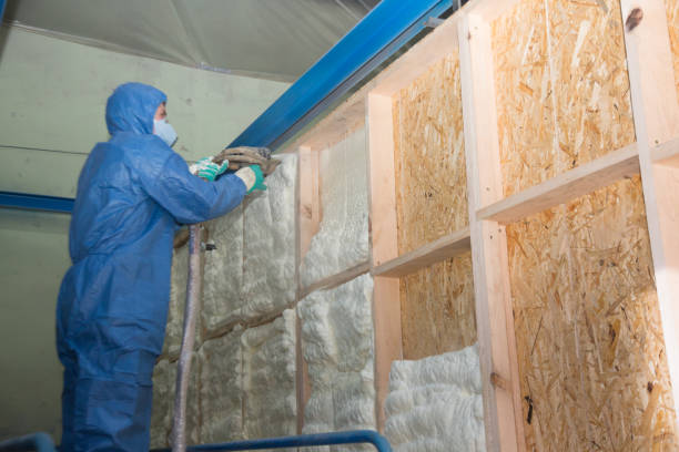 Best Attic Insulation Installation  in Troy, TN